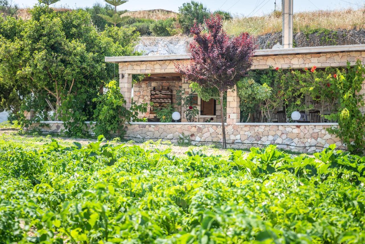 Emilia'S Little Farmhouses Agioi Anargyroi  Kültér fotó