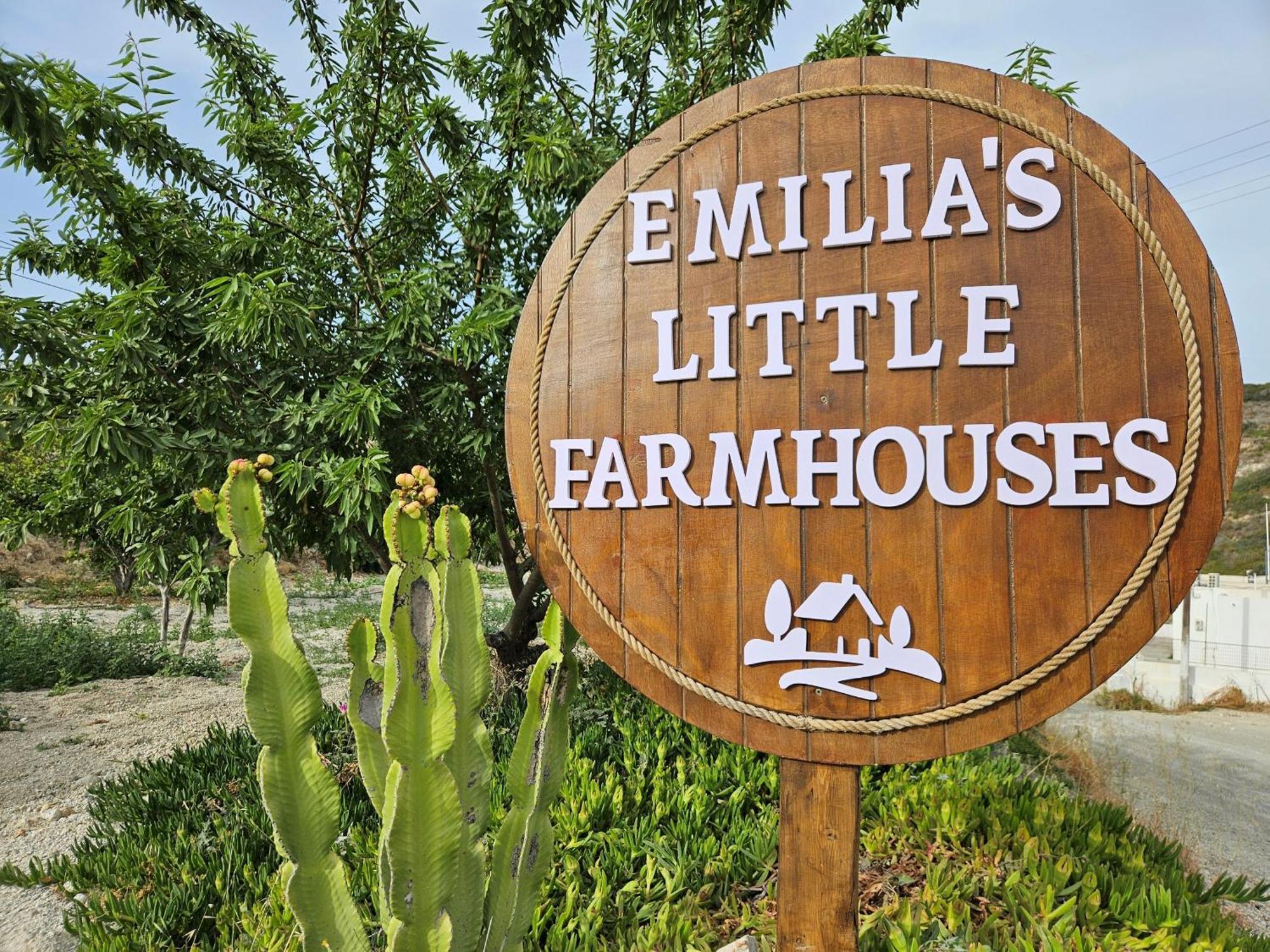 Emilia'S Little Farmhouses Agioi Anargyroi  Kültér fotó